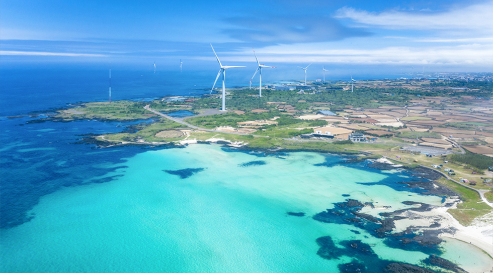 전력시장의 비밀